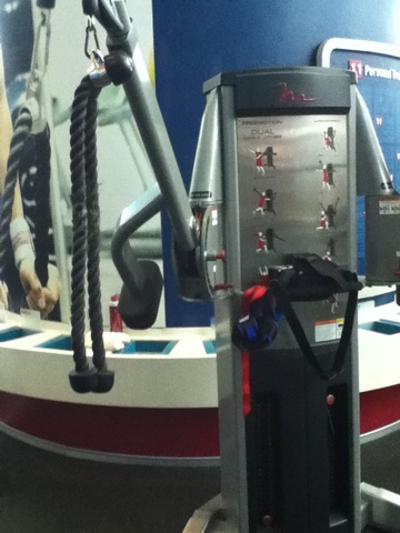 Face Pulls Face Pulls