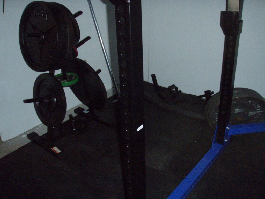 Olympic Plates Olympic Plates